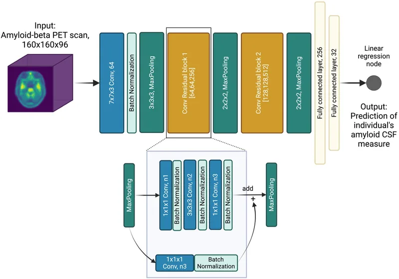 Architecture diagram from the ArcheD paper: an amyloid PET volume passes through convolutional and residual blocks to a single regression node predicting CSF amyloid-beta