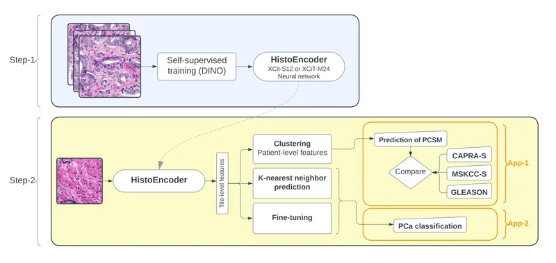 Figure from the HistoEncoder preprint: overview of the foundation model and its training data