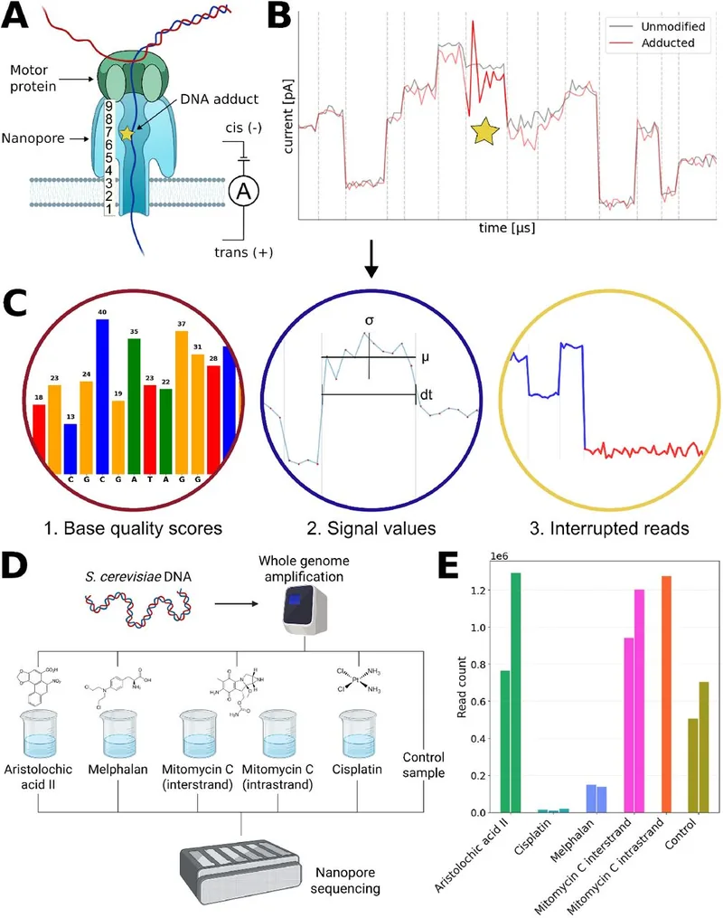 Figure 1 of the ionstats preprint: nanopore signal traces and the adduct detection workflow