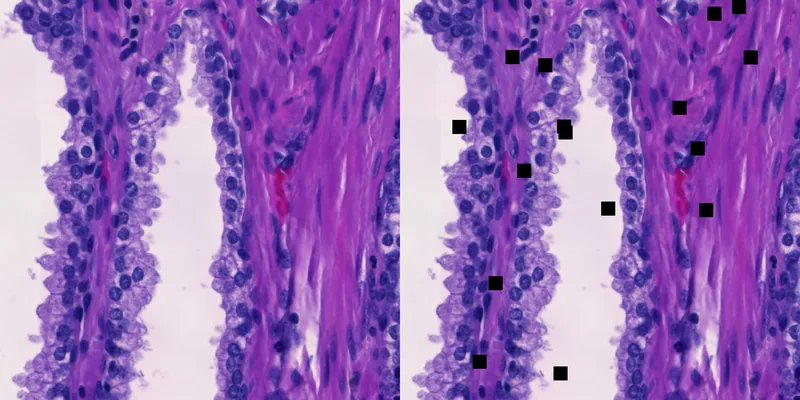 Figure from the spectral preprint: image cutouts used as model input